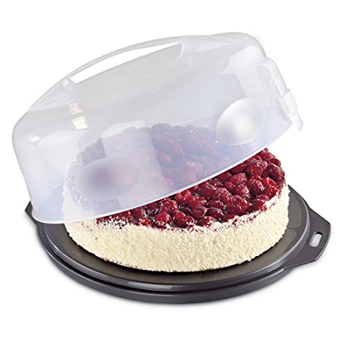 Xavax Kuchen-Transportbox rund mit Deckel Kuchenbehälter 31,5 cm Durchmesser, Innenhöhe 8 cm,Kuchenbox mit Stückeinteilungshilfe,Tortenplatte anthrazit, Transparent, 28,5x28,5x8cm