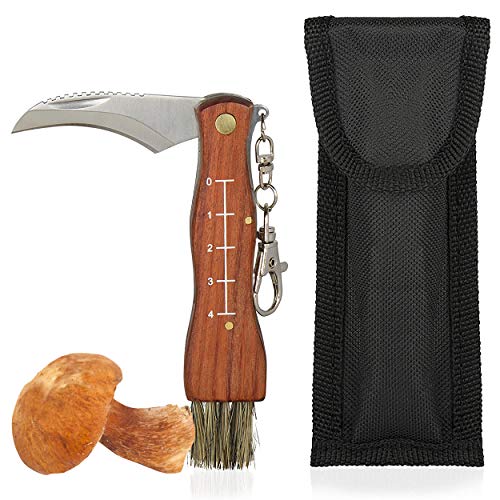 Oramics Pilzmesser braun, Naturfarben mit Bürste und Lineal, Holzgriff Edelstahl Klinge, Champignon/Trüffel Taschenmesser Inklusive Tasche