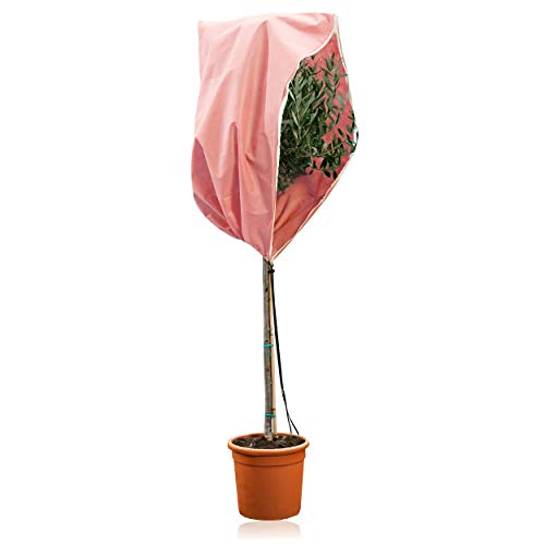 GardenGloss® Pflanzenschutz Winter Wintervlies (Rosa, 100x80cm)