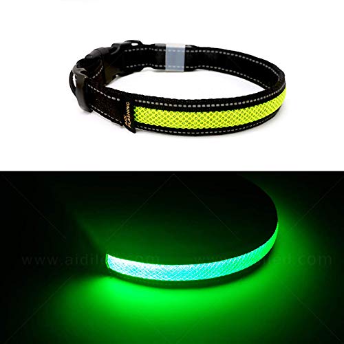 Toozey LED Leuchthalsband Hund mit 3 Beleuchtungsmodi, Einstellbare Länge und USB Aufladbar und Wasserdicht Nylon Leuchtband Hundehalsband, Hohe Sicht und Sicherheit für Ihren Hund, Grün L