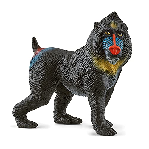 SCHLEICH 14856 Spielfigur -Mandrill Wild Life, Mehrfarbig