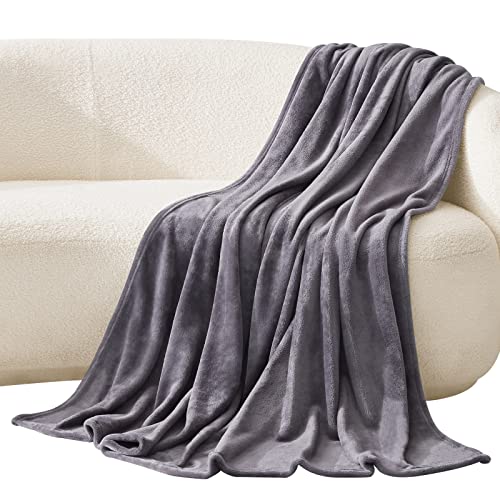 Lifewit Kuscheldecke Flauschig, weich und warm Wohndecke Hochwertige Flanell Fleecedecke als Sofadecke Couchdecke, Grau, 150 x 200 cm