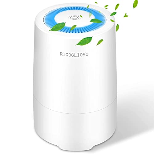 RIGOGLIOSO Luftreiniger HEPA Filter für Haustierallergie, 99,97% Luftfilter Filterleistung Pollen, Rauch, Staub, Geruch, Air Purifier für Heimat Schlafzimmer, bis zu 5-8㎡ Kleiner Raum