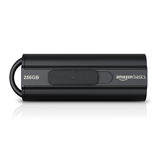 Amazon Basics - 256 GB USB 3.1 Flash-Laufwerk, lesegeschwindigkeit von bis zu 130 Mbit/s